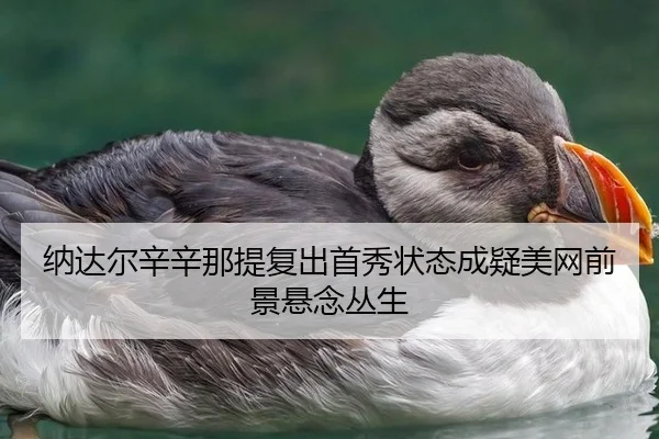 na-da-er-xin-xin-na-ti-fu-chu-shou-xiu-zhuang-tai-cheng-yi-mei-wang-qian-jing-xuan-nian-cong-sheng-3-786.jpg