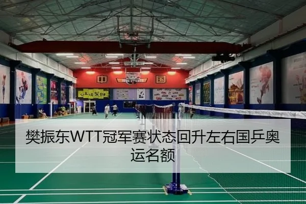 樊振东WTT冠军赛状态回升左右国乒奥运名额